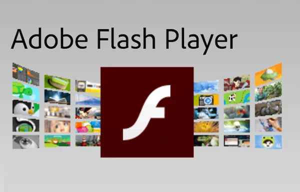 peligroso barato Navidad Cómo activar Flash Player en Chrome – alfanoTV